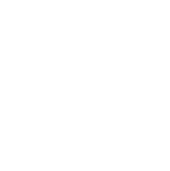 The British Sociological Association